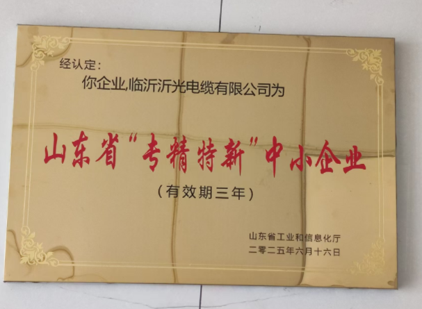 山东省“专精特新”中小企业